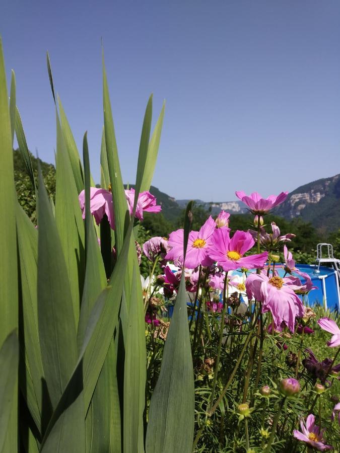 Au Chalet D'Anna Saint-Rambert-en-Bugey Bagian luar foto