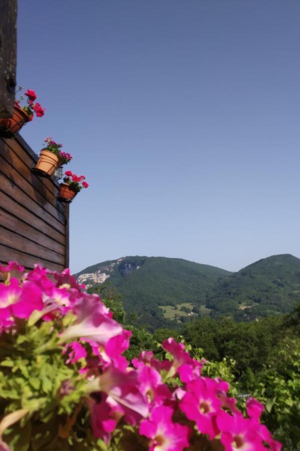 Au Chalet D'Anna Saint-Rambert-en-Bugey Bagian luar foto